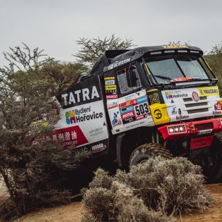 Etapa 8